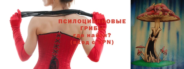 ГАЛЛЮЦИНОГЕННЫЕ ГРИБЫ Алзамай