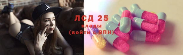 амф Алексин