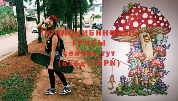 синтетический гашиш Алексеевка
