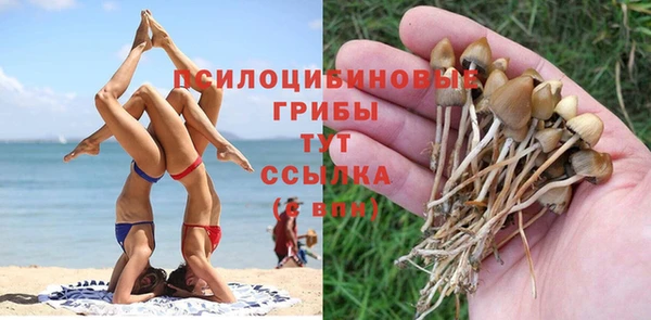 ГАЛЛЮЦИНОГЕННЫЕ ГРИБЫ Алзамай