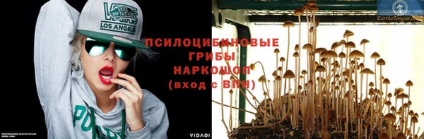 ГАЛЛЮЦИНОГЕННЫЕ ГРИБЫ Алзамай