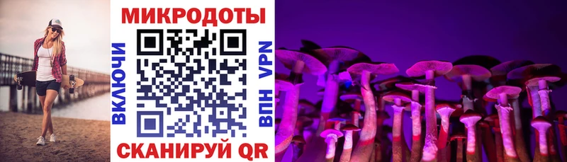 как найти закладки Неман Галлюциногенные грибы прущие грибы